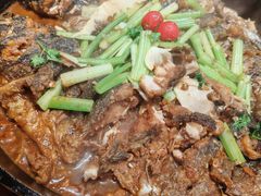 -老板恋上鱼(恒隆广场店)