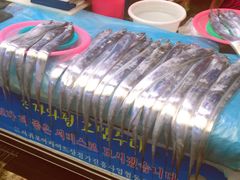 -西归浦每天偶来市场