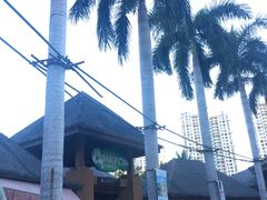 -亚马逊丛林水乐园