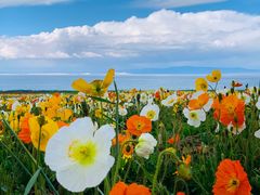 -青海湖国家重点风景名胜区