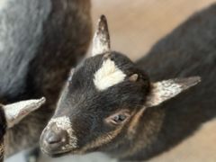 -FAIRYLAND龙族星球主题餐厅(凯丹广场店)