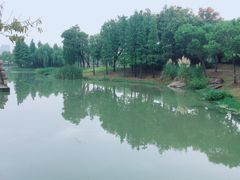 -尚贤河湿地