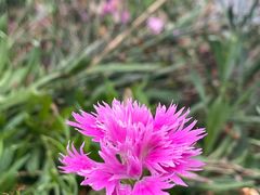 -上海植物园-4号门售票处