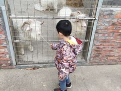 -迪茵湖田家舍生态农场