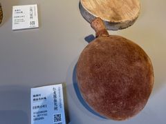 -無用生活空间(北京店)