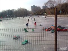 -紫竹院公园冰场