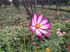 -共青国家森林公园-南大门停车场