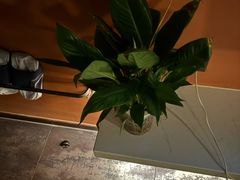 -霖公馆SPA·足道(普善路店)