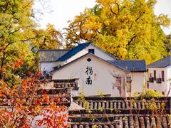 -四明湖