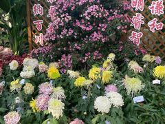 -汇龙潭