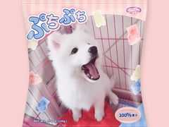 -翊宠yipet猫狗购宠庄园犬舍•猫舍