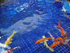 -鸿通城购物中心