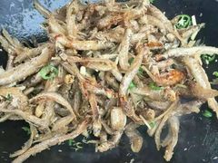 -八仔大富楼·河鲜(西江店)