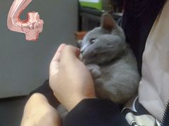 -吱咖啡西式简餐