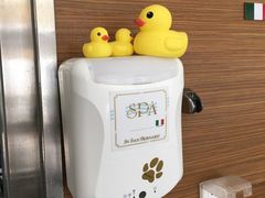 -PETKIT小佩宠物(古北店)