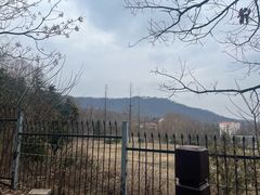-紫金山山顶公园