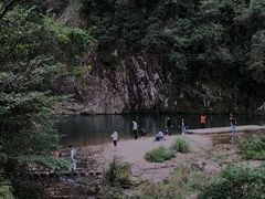 -龙湾潭国家森林公园