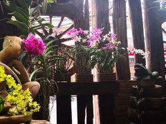 -自然餐厅(Phuket)