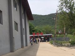 -少林寺欢喜地素斋馆