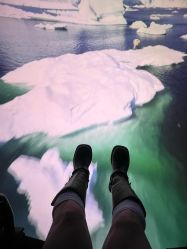 -翱翔飞越地平线