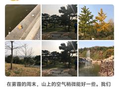 -北京市海淀区翠微小学