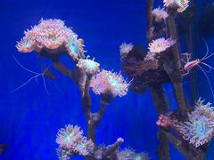 -南昌海洋公园