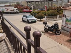 -金太狼4k国际影城