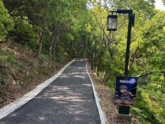 -平湖九龙山旅游度假区