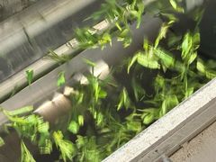 -EF教育成人英语(武林中心)