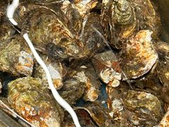 -后田海鲜餐厅(南澳香湖湾店)