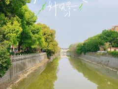 -莲花石酸菜鱼(海滨东路店)