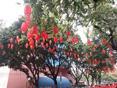 -越秀西湖花市(广州城市广场花卉店)