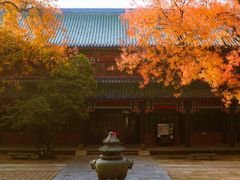 -灵谷景区