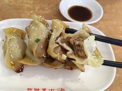 鲜肉锅贴+牛肉锅贴-小姜锅贴(凤凰街店)
