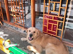 -八木轩·寻味大理白族民俗餐厅(文献路店)