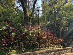 -香港大学