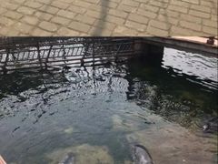 -烟台山景区