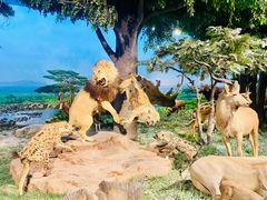 -国家自然博物馆