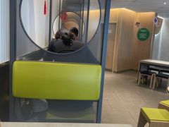 -麦当劳(王顶堤店)