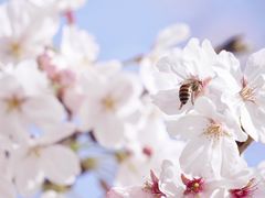 -永乐路-路侧停车场