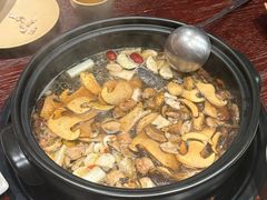 -滇野云南野生菌餐厅(陕西南路店)