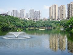 -重庆彩云湖湿地公园