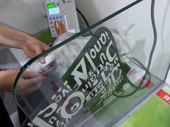 -萌兽医馆·绝育·24小时内科·宠物医院(德胜店)