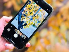 -长沙市青少年宫