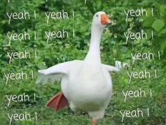 -厝内小眷村(天河南一路店)