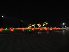 -东港音乐喷泉广场