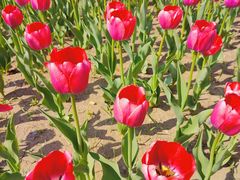 -长春公园(普阳街道)