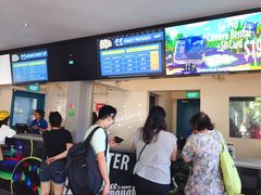 -圣淘沙天际线斜坡滑车