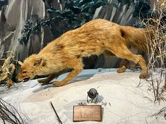 -陕西自然博物馆