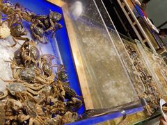 -诱货海鲜自助火锅(爱琴海购物公园东百店)